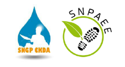 Logo SNGP-CKDA / SNPAEE