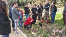 FORMATION HORTITHERAPIE