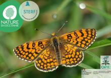 Photo d'un papillon et des logos de l'association Nature en Occitanie, OPIE, STERF, Préfet de la région