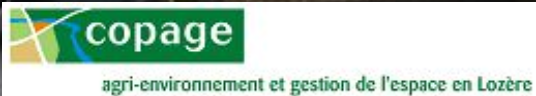 Logo_Copage