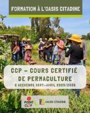 formation CCP Oasis Citadine